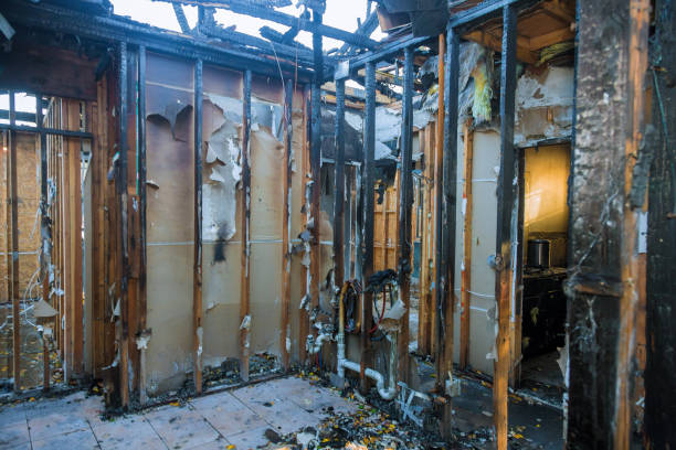 Professional Fire Damage Removal technician working in Bridgeport, TX